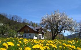 Gästehaus Blonbauer
