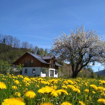Ferienwohnung Gästehaus Blonbauer Schladming Exterior foto