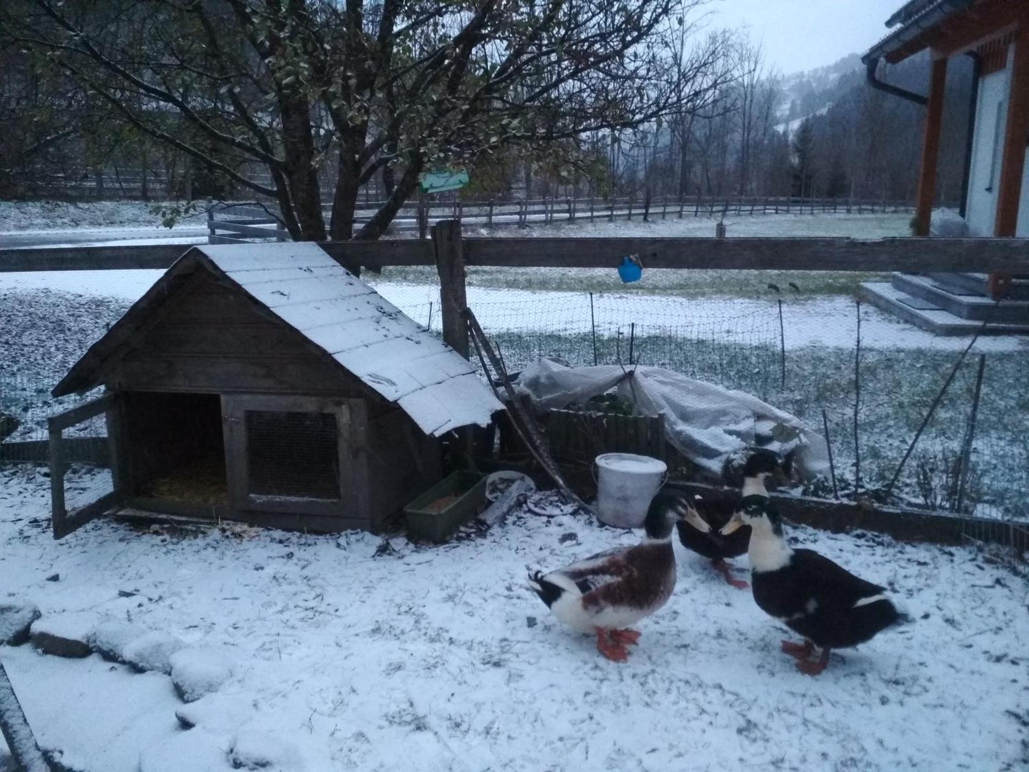 Ferienwohnung Gästehaus Blonbauer Schladming Exterior foto